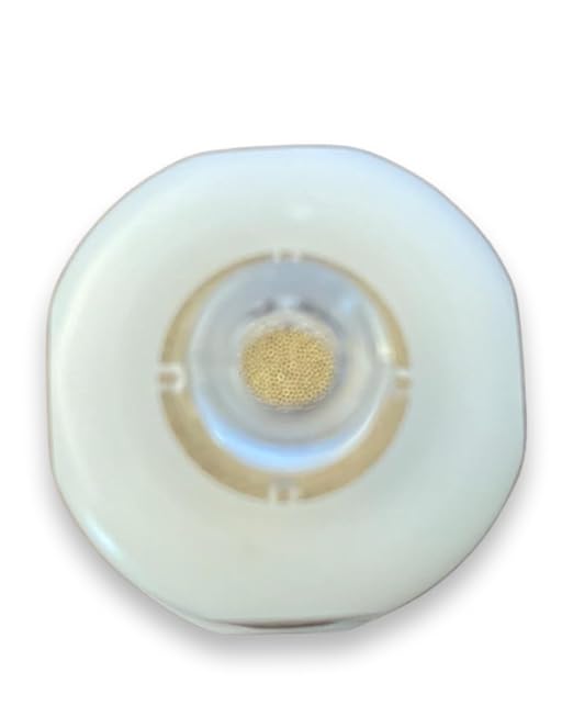 PneumaticPlus Compressed Air in-Line Desiccant Filter Dryer for Spray Gun or Pneumatic Tools - DFD-10 (Pack of 2)