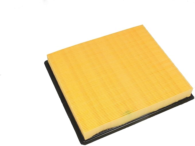 ACDelco GM Original Equipment A3174C (20972654) Air Filter