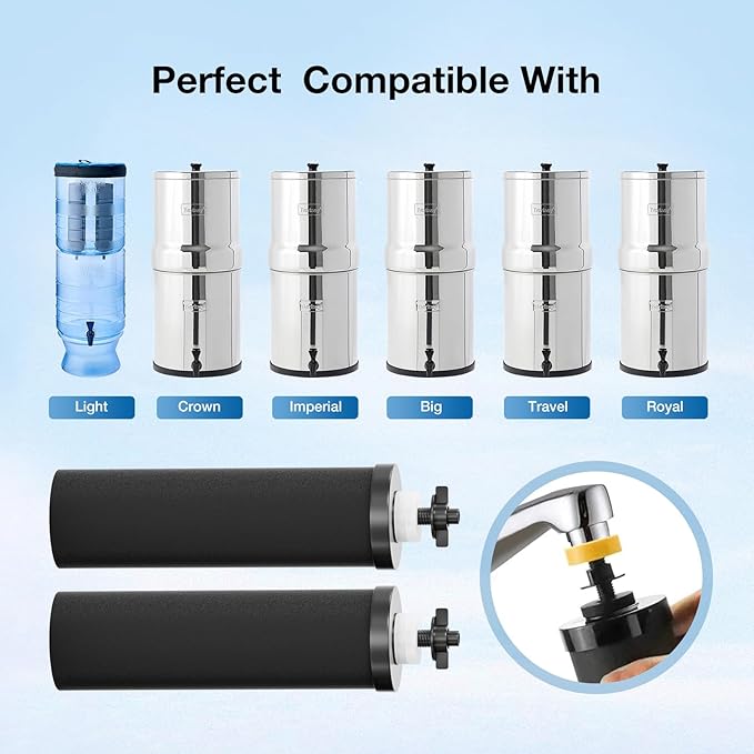 Black Purification Elements Replacement for Berkey® BB9-2® & Big Berkey® Gravity Water Filter System, Compatible with ProOne® Big+ & Purewell Filters, High-Efficiency Carbon Elements (2 Pack)