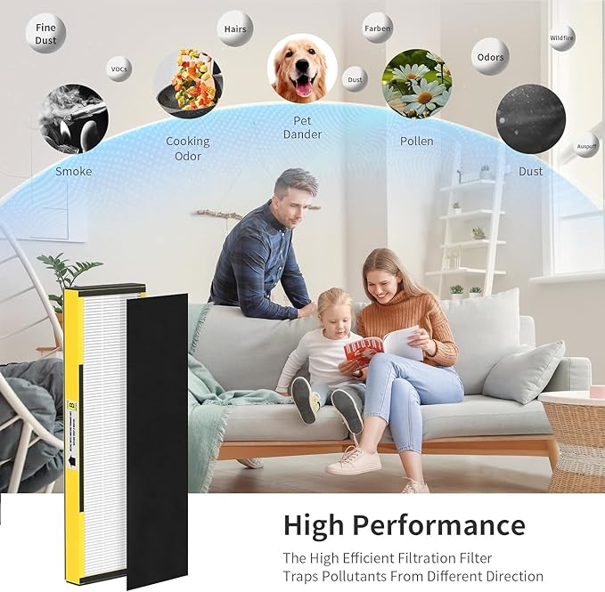 6 Packs FLT4825 H13 True HEPA Replacement Filter B Compatible with AC4300BPTCA, CDAP4500BCA, AC4825, AC4850PT, AC4820, AP2200CA Air Cleaner Purifier