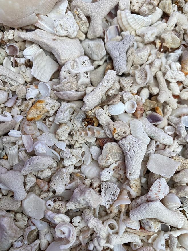 Middle Keys Marine Life LLC Florida Keys Crushed Coral Aquarium Gravel 2.5 LB (~70 in3) for Aquariums, Terrariums, Vases, Landscaping, Bonsai, School Projects, Shell ID, Bio-Filtration