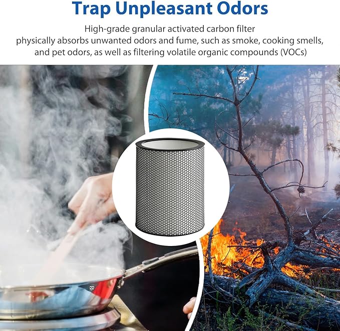 972132-01 H13 Grade Glass Big HEPA Filter Compatible for Dyson Purifier BP03 and BP04 (Big), Airborne Wildfire, Smoke, Pollen, Pet Dander, and Dust