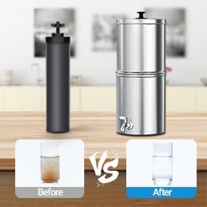 Filterlogic NSF/ANSI 42&372 Certified Water Filter, Replacement for Berkey® BB9-2® Black Purification Elements and Berkey® Gravity Filter System, Pack of 2