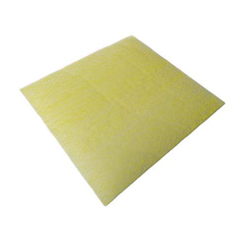 Paint Booth Exhaust Filter Pad, 20"x 20"x 2.5"(50 Pack), Spray Booth Filter, Fiberglass Paint Arrestor for Air Filter System(22 Gram)