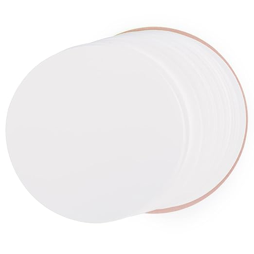 stonylab Nylon Membrane Filters, Hydrophilic Nylon Membrane Disc Filters with 0.45 μm Pore Size and 94 mm Diameter