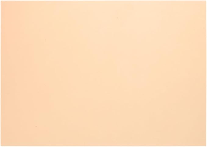 uxcell 4Pcs A4 Gel Light Lighting Filter Overlay Transparent Color Correction Plastic Vinyl PVC Sheets Photography Television Fluorescent Orange,0.2mm