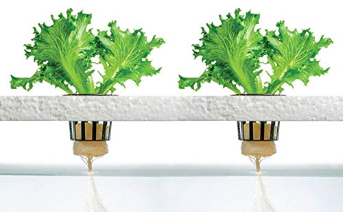 4 Stage - Hydroponics Reverse Osmosis Water Filtration System | 100 GPD | Water Purifier for Indoor or Outdoor Garden Use | Hydroponics Growing System by Oceanic Water Systems.