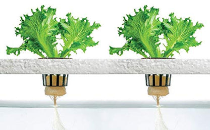 4 Stage - Hydroponics Reverse Osmosis Water Filtration System | 100 GPD | Water Purifier for Indoor or Outdoor Garden Use | Hydroponics Growing System by Oceanic Water Systems.