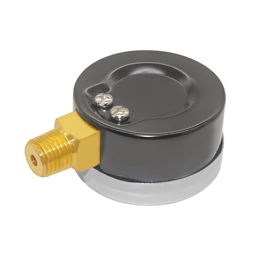 Joywayus Pressure Gauge 0 to 30 PSI Brass 1/4" Male NPT Thread Lower Mount, Multiple Function