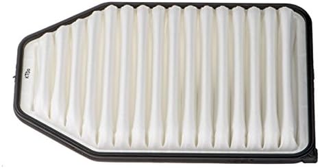 Chrysler 68257791AA Fuel Air Filter