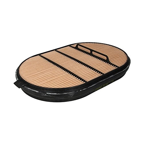 Donaldson P607557 Safety Oval Air Filter