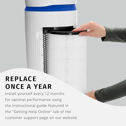 Homedics TotalClean 3-in-1 HEPA-Type Air Purifier Filter Replacement, Works with Homedics AP-T30 and AP-T30WT Air Purifiers, Captures Microscopic Airborne Particles