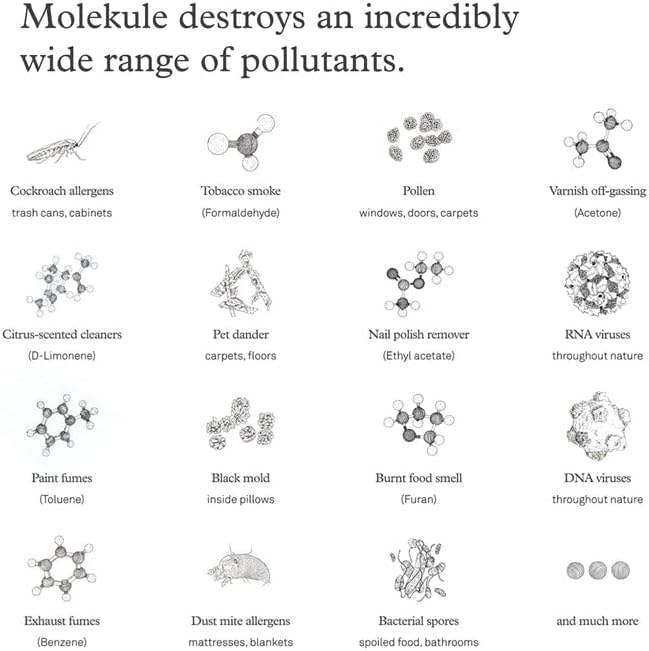 Molekule Air Pre-Filter - Authentic Molekule High Efficiency Pre-Filter Replacement System - Captures Pet Hair, Dust & Large Particles - Purifier Maintenance for Improved Air Quality - 2-Pack