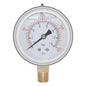 Joywayus Pressure Gauge 0-200 PSI Brass 1/4" NPT Male Thread Lower Mount, Glycerin Filled, Stainless Steel Case, Multiple Function