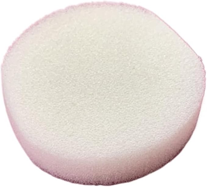 20 Pack Sponges for The 10inch Reusable Empty Clear housing