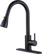 Kitchen Sink Faucet with Pull - Down Sprayer, 2 - Handle 3 - in - 1 Kitchen Sink Filter Faucet, Cold and Hot Mixer Drinking Water Faucet (Classic, Black-2)