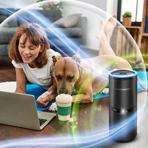 LabCharge Small Ionic Air Purifier for Home & Bedroom – Silent HEPA Filter – Covers 250 Sq Ft - Free Cleaner for Pets, Hair, Smoke, Dust, Odors & Dander – Compact & Black Design - Pack of 2