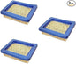 RAParts 3 Pk Air Filter Set Fits Briggs and Stratton 3-5HP Horizontal 3.5-6HP Quantum