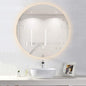 LED Illuminated Bathroom Mirror with Stepless Dimming Switch, Wall-Mounted Vanity Mirror, Demister Pad, for Makeup Cosmetic Shaving