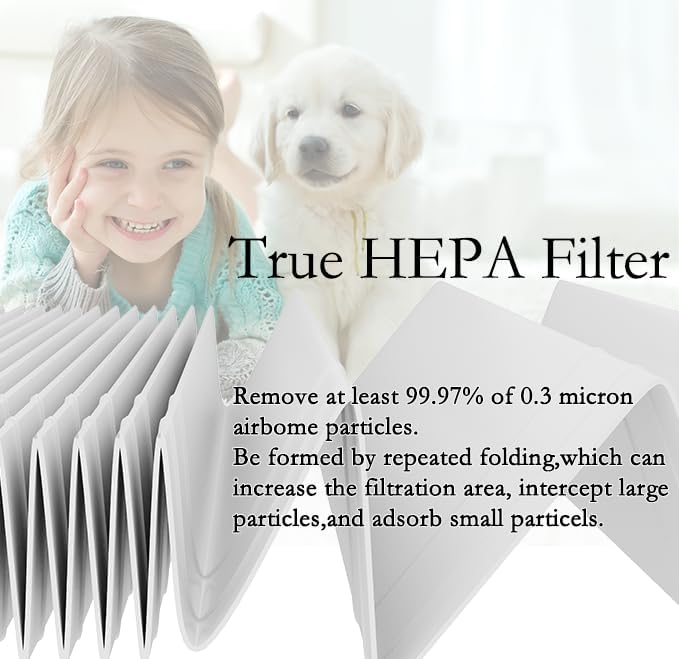 A2 True HEPA Replacement Filter, Compatible with Filtrete FAP-C02-A2, FAP-C03-A2, FAP-T03-A2 Air Purifier, Part # 1150101, 2 HEPA + 2 Carbon pre-filters
