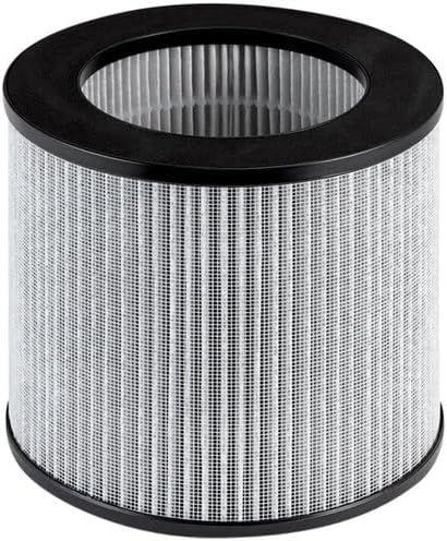 Bissell Replacement High Efficiency and Carbon Filter for The MyAir Personal Air Purifier, 2801