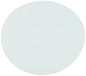 Omicron 170047R Nylon Membrane Filters, 0.2 μm, 47 mm (Pack of 100)