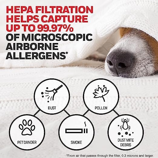 Honeywell Genuine HEPA Air Purifier Filter G, 2-Pack, Airborne Allergen Air Filter Targets Smoke, Pollen, Pet Dander, and Dust