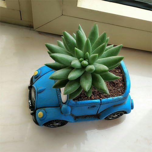 Blue Planter, Cute Succulent Pots, Small Plant Pots with Drainage Hole (Blue Car)