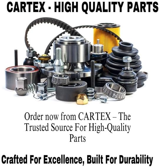 CARTEX 2 Pieces Fuel Filter MT40223960 6256997M1 for FITS Case FITS Farmall 30B 35B FITS New Holland Boomer 20 24 25 30 35 FITS Massey Ferguson 1520 1525 Tractor