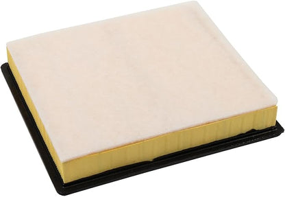 ACDelco GM Original Equipment A3175C (20972655) Air Filter