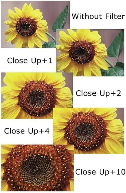 52mm Close-Up Filter Set (+1, +2, +4 and +10 Diopters) for Nikon Z5 24-50mm, NIKKOR 35mm f/1.8G Lens, Z 40mm, D3100, D3200, D3300, D5100, D5200, D5300, D5500 with 18-55mm Lens