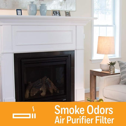 Honeywell Air Purifier Filter for Smoke Odor – Filter S for HPA3000 PowerPlus and HPA5000 Insight Series, HRFSS1