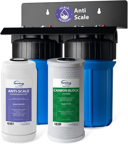 iSpring WGB21B-DS 2-Stage Whole House Water Filtration System, with 10" x 4.5" Sediment CTO(Chlorine, Taste, and Odor) Filter, Anti-Scale polyfilter, 1" Inlet/Outlet