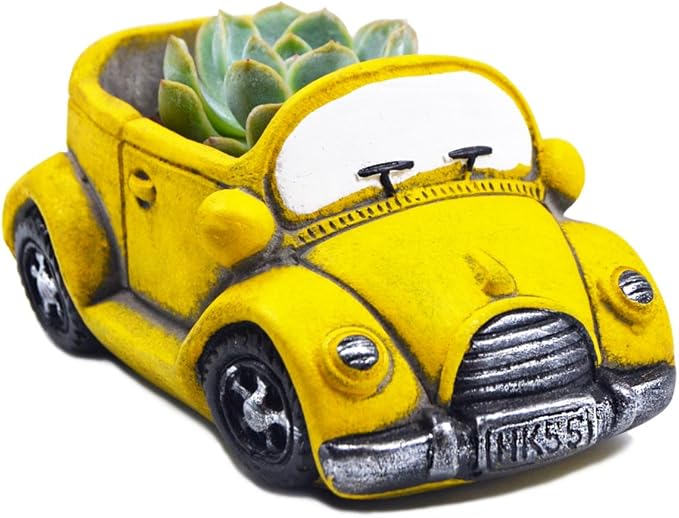 Cute Cacti & Succulent Plants Pot, Succulent Decor Planter Pot Indoor/Outdoor (Yellow)