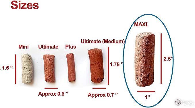 Biohome Maxi Media, Premium Large-Sized Media for Aquarium & Pond Filter (5 LBS)