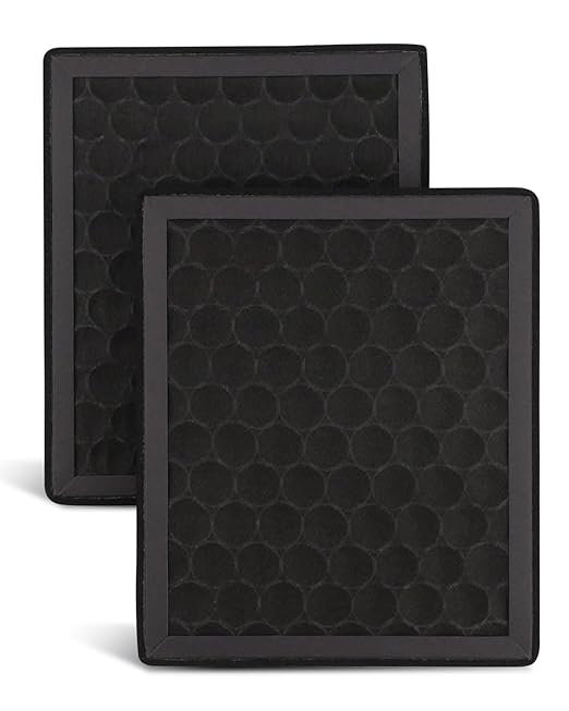 2Pcs Activated Carbon H2D H2S Air Filter Fit for Bambu Lab H2S H2D, H2D Combo Laser Parts,3D Printer Activated Carbon Air Purifier Filter Replacement Accessories