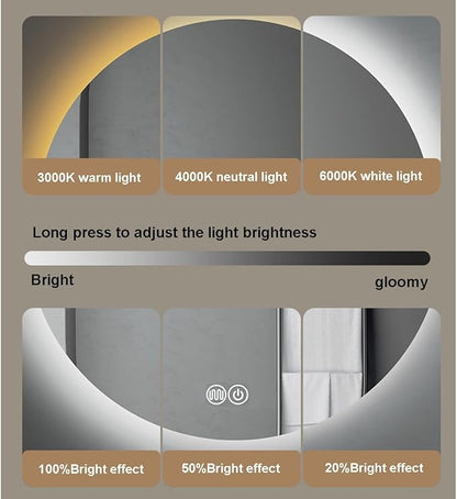 Vanity Mirror Round Illuminated LED Bathroom Mirror with Touch Sensor Switch Dimming Function Demister Pad 3 Colors Temperature Suitable for Vanity Bathroom Or Bedroom(31in)