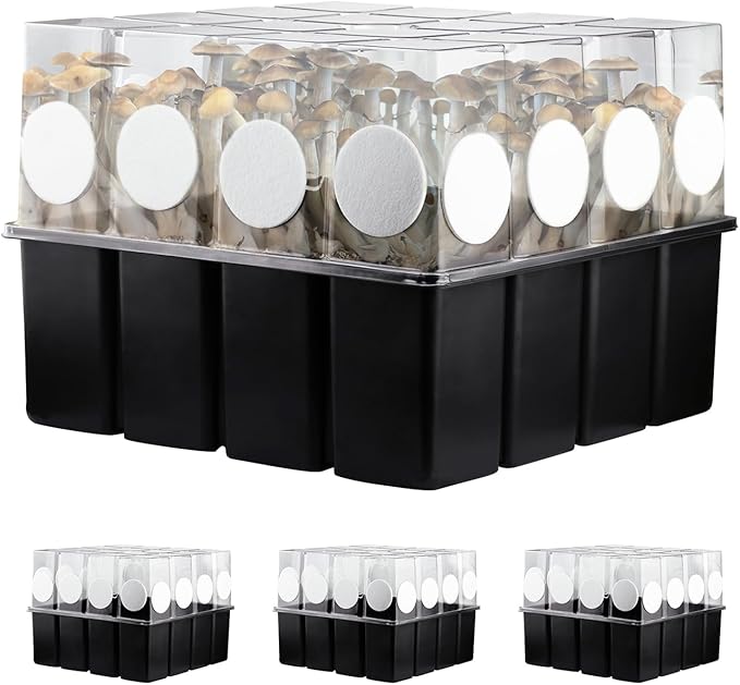 3 Set Mushroom Grow Kit Monotub with Filter Disks 43.5 Quart Vegetable Planting Tray Mini Greenhouse Germination Box for Seeds Growing Starting
