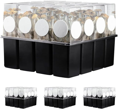 3 Set Mushroom Grow Kit Monotub with Filter Disks 43.5 Quart Vegetable Planting Tray Mini Greenhouse Germination Box for Seeds Growing Starting