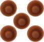 Red Clay Baked Clay Succulent Flower Pots with Saucers, 8x8cm Indoor Outdoor Decorative Terracotta Planters Set of 5 for Garden and Home Planting
