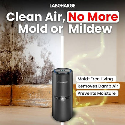 Lab Charge Small Ionic Air Purifier for Home & Bedroom – Silent HEPA Filter – Covers 250 Sq Ft - Free Cleaner for Pets, Hair, Smoke, Dust, Odors & Dander – Compact & Black Design - Pack of 4