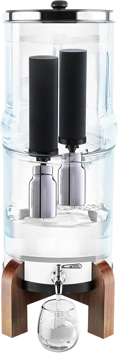 PHOENIX GRAVITY POSTreat Steel Fluoride Reduction Elements - Set of 2 AISI 304 Stainless Steel PF-4 Element, Removes >95% of Fluoride, Compatible with Phoenix Carbon (Black) Filter Elements