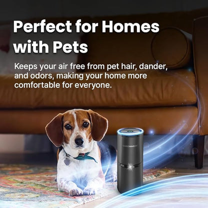 LabCharge Small Ionic Air Purifier for Home & Bedroom – Silent HEPA Filter – Covers 250 Sq Ft - Free Cleaner for Pets, Hair, Smoke, Dust, Odors & Dander – Compact & Black Design - Pack of 2