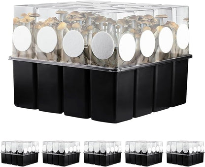 5 Set Monotub with Filter Disks 43.5 Quart Mushroom Grow Kit Vegetable Planting Tray Mini Greenhouse Germination Box for Seeds Growing Starting