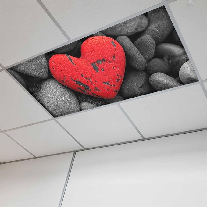 Fluorescent Light Covers for Ceiling Lights Love Heart Stone Magnetic Light Filters 1 Pack 4x2 ft Black Red Ceiling Lights Cover for Classroom Office School Home Drop Lamp Decor