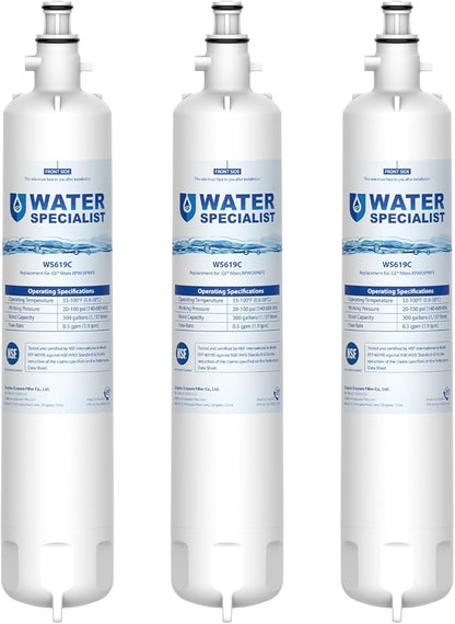 Waterspecialist Replacement for GE® RPWFE®, RPWF (Built-in CHIP) Refrigerator Water Filter, Compatible with GYS22GMNES, GYE22HSKSS, PYE22PELDS, GFE26GMKES, GFE26GGHWW, PFE28KYNFS, 3 Filters