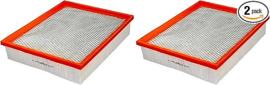 FRAM Extra Guard CA10228 Replacement Engine Air Filter for Select Dodge Nitro and Jeep Liberty Model Years, Provides Up to 12 Months or 12,000 Miles Filter Protection (Pack of 2)