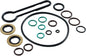 Fuel Filter Housing Seal Kit 904-535 Compatible with Ford Excursion 2003-2005 F-250 F-350 F-450 F-550 Super Duty 2003-2007 V8 6.0L Replaces 3C3Z9C165AA