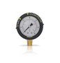 Swimables 60 PSI 1/4" NPT Bottom Mount Pressure Gauge for Swimming Pool Filters - Compatible with Pentair, Hayward and Jandy Filters