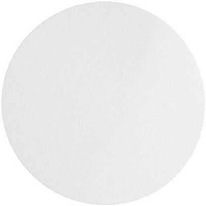 Omicron 170090X Nylon Membrane Circle, 90mm, 0.45 Micron (Pack of 50)(Cross Reference 7404-009)